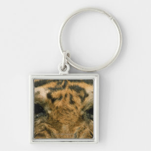 Tigeraugen Schlüsselanhänger