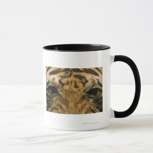 Tigeraugen Tasse (Rechts)