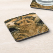 Tigeraugen Untersetzer (Linke Seite)