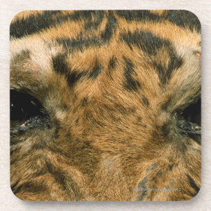 Tigeraugen Untersetzer