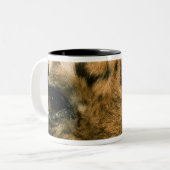 Tigeraugen Zweifarbige Tasse (Vorderseite Links)
