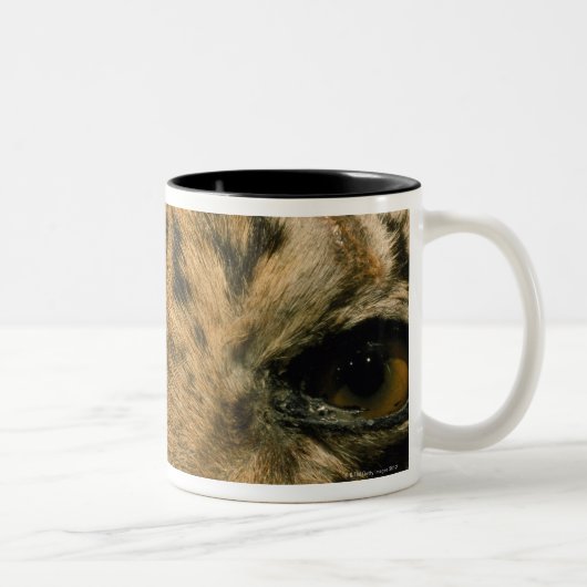 Tigeraugen Zweifarbige Tasse (Rechts)