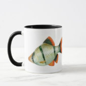 Tigerbarb-Aquarium-Fisch-Tasse Tasse (Links)