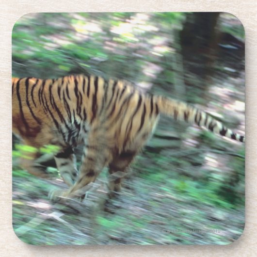 Tigerbetrieb Untersetzer (Vorderseite)