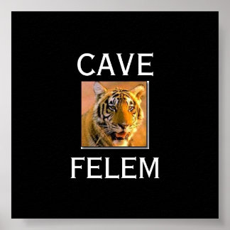 TIGERBeware der katze - in Lati.... - Individuell Poster