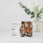 Tigerblick seitwärts Foto Visitenkarte (Stehend Vorderseite)