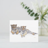 Tigercubs Postkarte (Stehend Vorderseite)