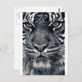 Tigerdesign Postkarte (Vorne/Hinten)
