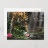 TIGERE BRAUCHEN WILD FRIEDEN POSTKARTE (Vorne/Hinten)