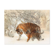 Tigerfamilie im Winter Landschaft Postkarte