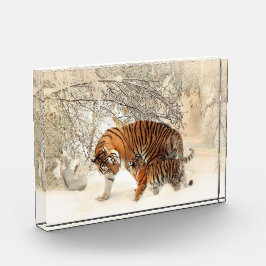 Tigerfamilie im Winter Landschaftsblock Foto