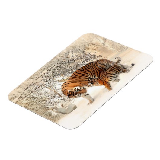 Tigerfamilie Magnet (Linke Seite)