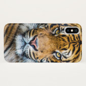 Tigerfeld Case-Mate iPhone Hülle (Rückseite (Horizontal))