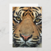 Tigerfeld Dankeskarte (Vorne/Hinten)