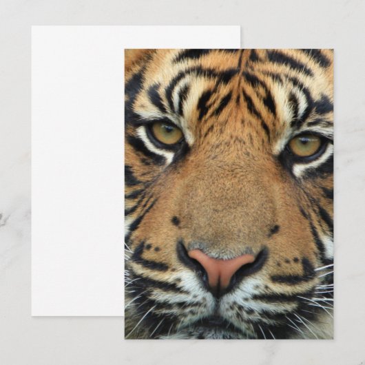 Tigerfeld Dankeskarte (Vorne/Hinten)