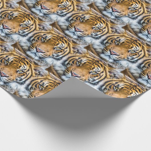 Tigerfeld Geschenkpapier (Ecke)