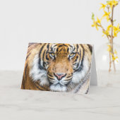 Tigerfeld Karte (Gelbe Blume)