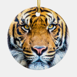 Tigerfeld Keramik Ornament