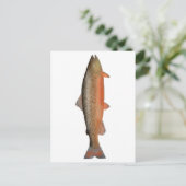 Tigerforelle Postkarte (Stehend Vorderseite)