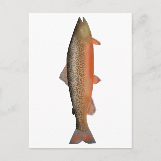 Tigerforelle Postkarte (Vorderseite)