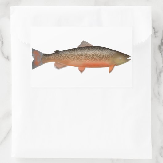 Tigerforelle Rechteckiger Aufkleber (Tasche)