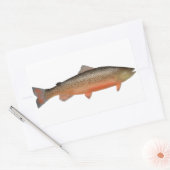 Tigerforelle Rechteckiger Aufkleber (Umschlag)