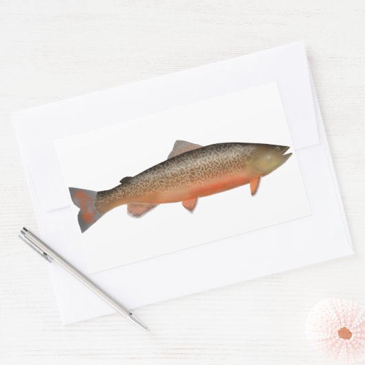 Tigerforelle Rechteckiger Aufkleber (Umschlag)