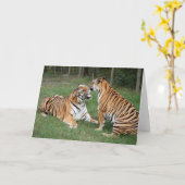 TigerFriends 2007 Karte (Gelbe Blume)