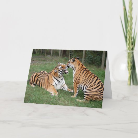TigerFriends 2007 Karte (Vorderseite)