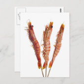 Tigergarnele, gegrillt auf einem Spieß Postkarte (Vorne/Hinten)