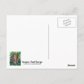 Tigergeschenke und -zubehör postkarte (Rückseite)