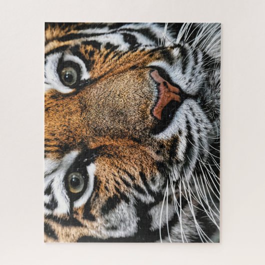 Tigergesicht, Jigsaw Puzzle (Vertikal)