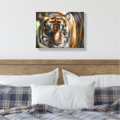 Tigergesicht Leinwanddruck (Insitu (Schlafzimmer))