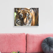 Tigergesicht Leinwanddruck (Insitu (Wohnzimmer))