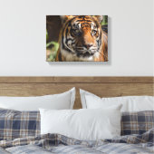Tigergesicht Leinwanddruck (Insitu (Schlafzimmer))