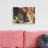 Tigergesicht Leinwanddruck (Insitu (Wohnzimmer))