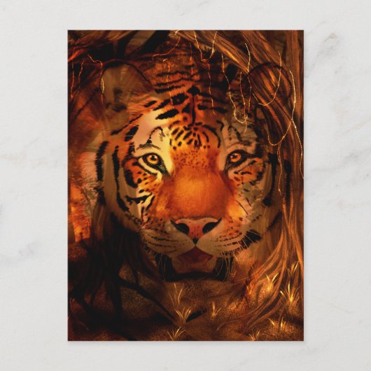 Tigergesicht Postkarte (Vorderseite)