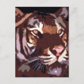Tigergesicht Postkarte (Vorderseite)