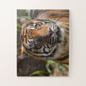 Tigergesicht Puzzle (Vertikal)