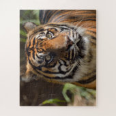 Tigergesicht Puzzle (Vertikal)