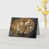 Tigergrußkarte Karte (Gelbe Blume)