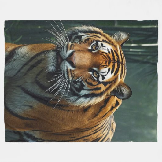 Tigerjagd in Bamboo Grove Fleecedecke (Vorderseite (Horizontal))