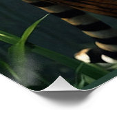 Tigerjagd in Bamboo Grove Poster (Ecke)