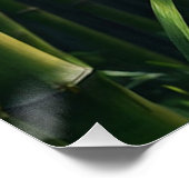 Tigerjagd in Bamboo Grove Poster (Ecke)