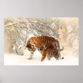 Tigerjunge und Mutter in Schneepulver Poster (Vorne)