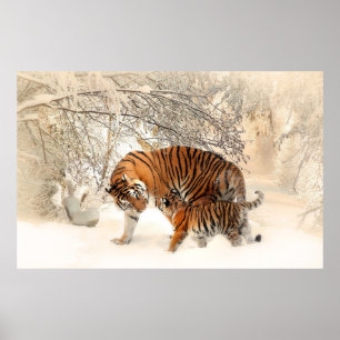 Tigerjunge und Mutter in Schneepulver Poster
