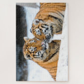 Tigerjungen, Jigsaw Puzzle (Vertikal)