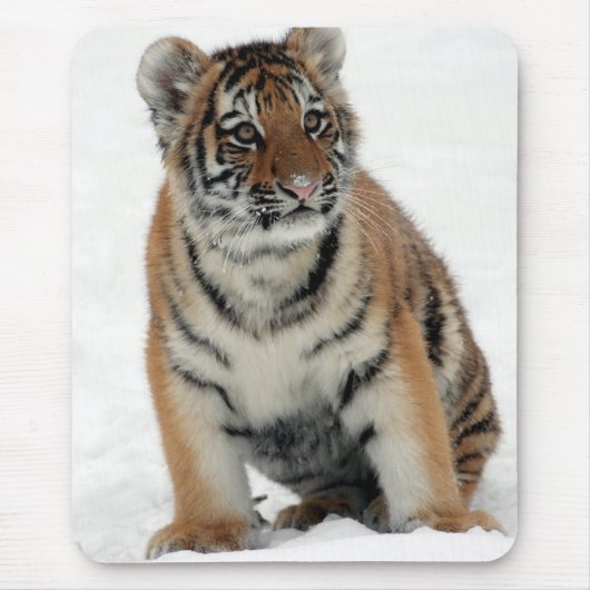 Tigerjunges im Schnee Foto Mousepad (Vorne)