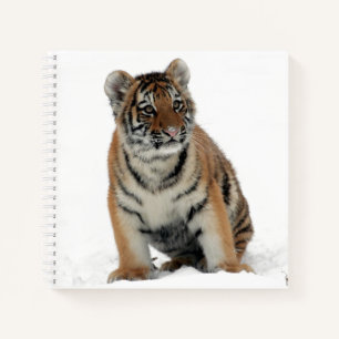 Tigerjunges im Schnee Fotografie Notizblock