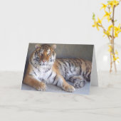 Tigerkarte Karte (Gelbe Blume)